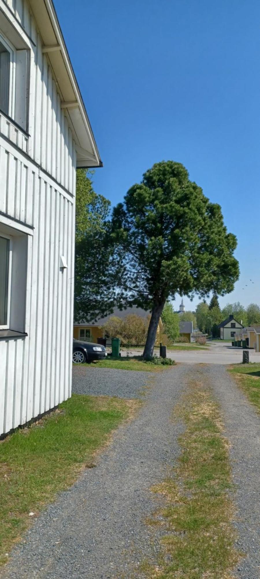 Vita Villan Haparanda  Eksteriør billede